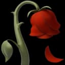Funeral Flowers